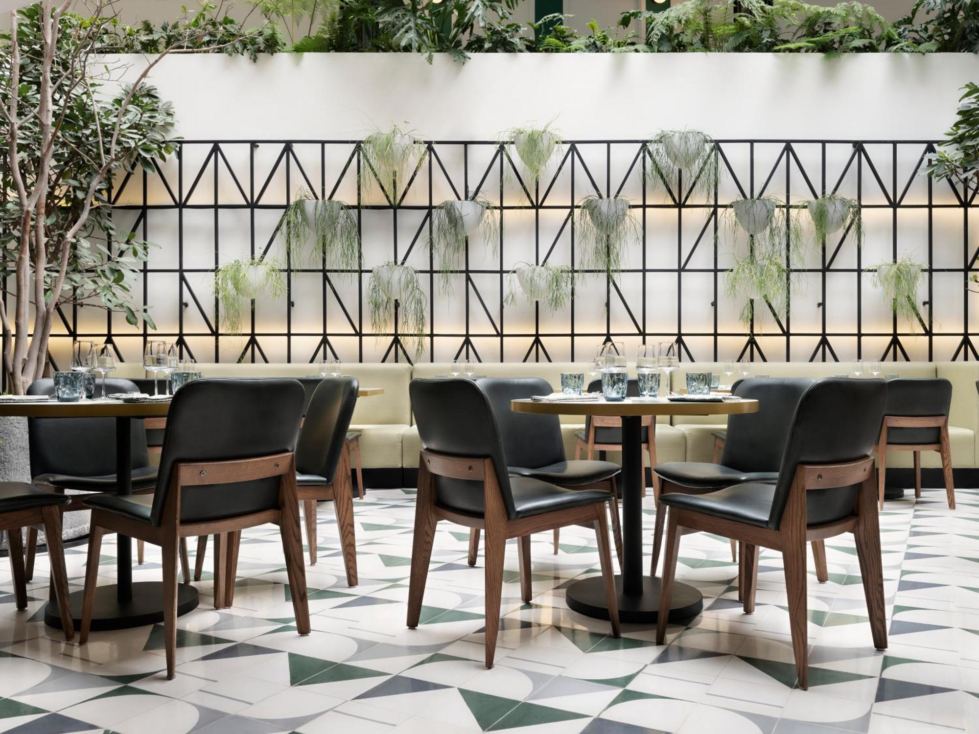 ホテル Kimpton Virgilio By Ihg メキシコシティ エクステリア 写真